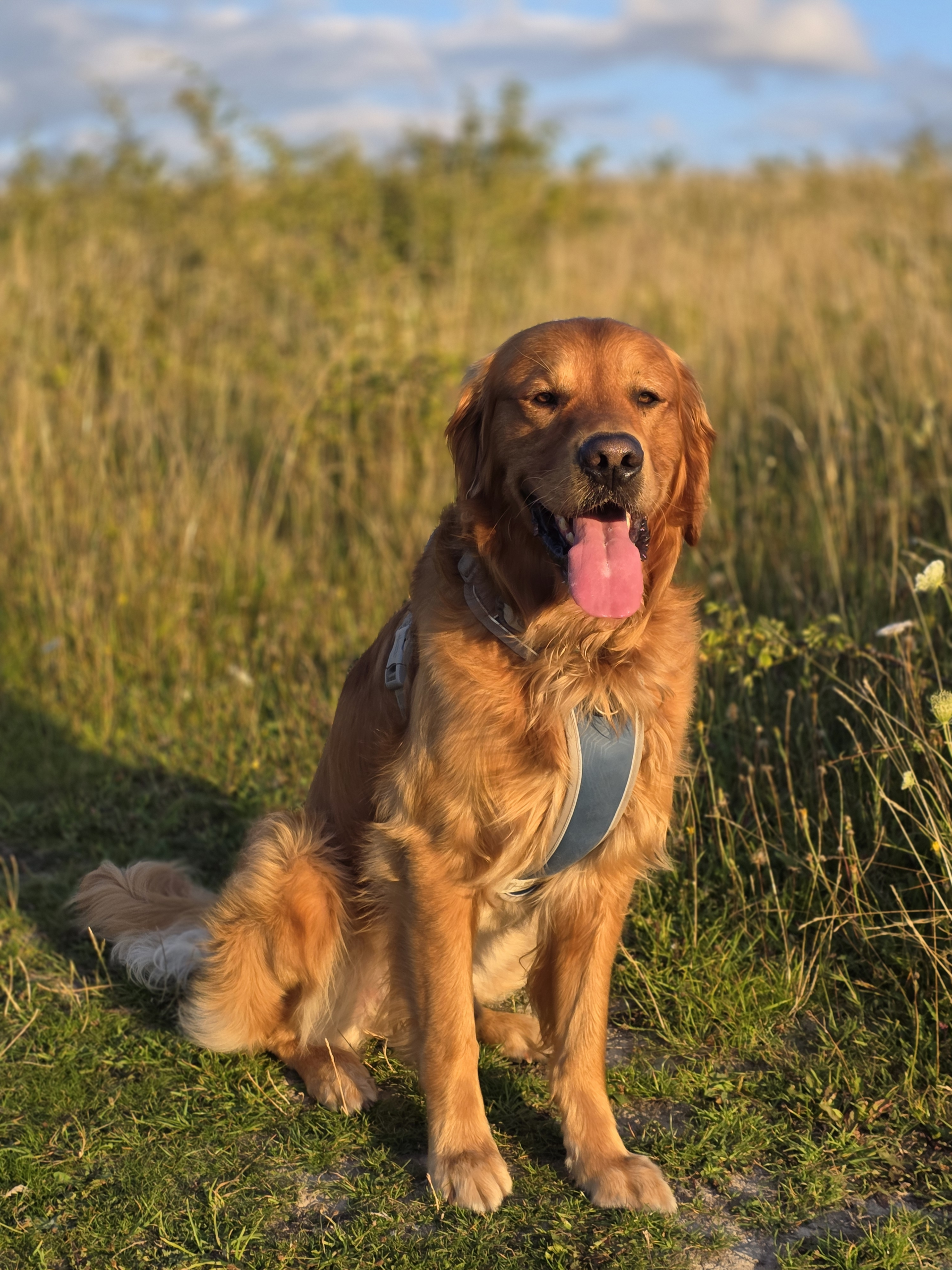 Maverick, Chief Happiness and Wellness Officer at 236 Works